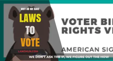 The Power of Voting: Understanding the Purpose of Electoral Laws