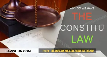 The Constitutional Law: Our Rights and Freedoms Framework