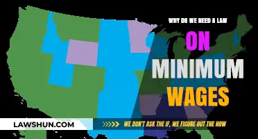Ensuring Fair Pay: The Critical Need for Minimum Wage Laws