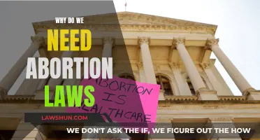 Abortion Laws: Necessary Evils or Women's Rights?