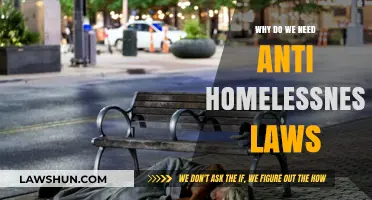 Ending Homelessness: The Urgent Need for Anti-Homelessness Laws