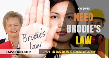 Understanding Brodie's Law: Protecting Against Cyberbullying and Its Impact