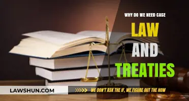 Case Law and Treaties: Building Blocks of Justice
