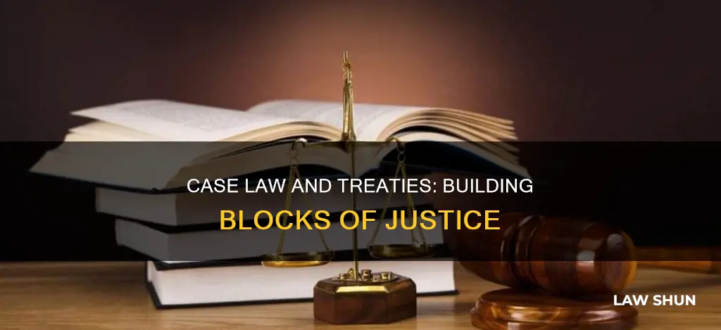 why do we need case law and treaties