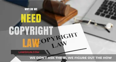 Protecting Creativity: The Essential Role of Copyright Law Explained