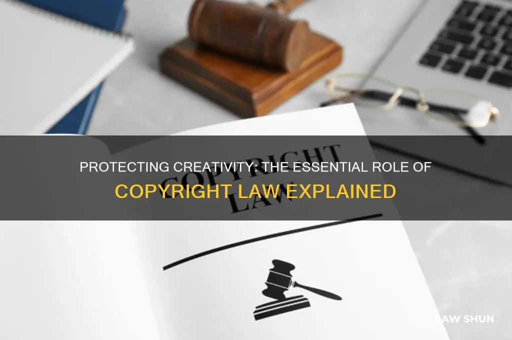 why do we need copyright law