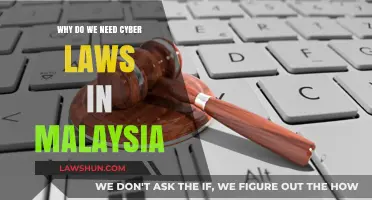 Securing Malaysia's Digital Future: The Critical Need for Cyber Laws
