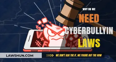 Combating Online Harassment: The Urgent Need for Cyberbullying Laws