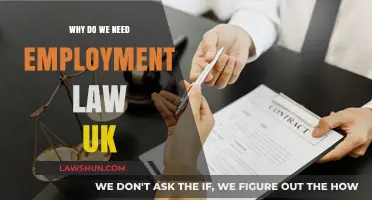 Why Employment Law in the UK is Essential for Fair Workplaces