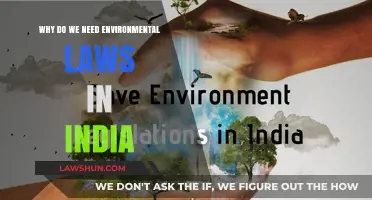 Protecting India's Future: The Crucial Role of Environmental Laws