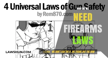 Understanding the Necessity of Firearms Laws for Public Safety