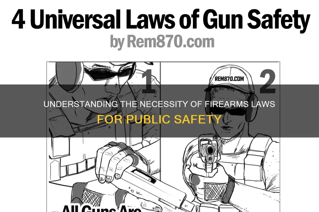 why do we need firearms laws