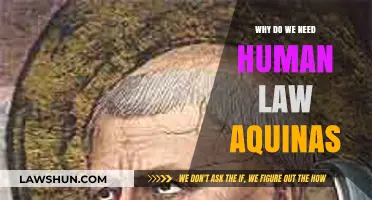 Aquinas' Insight: The Essential Role of Human Law in Society