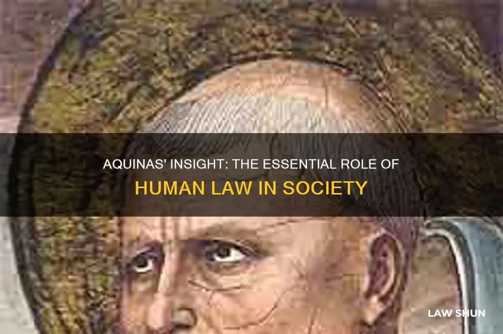 why do we need human law aquinas