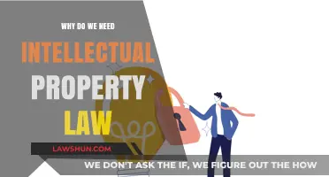 Protecting Innovation: The Crucial Role of Intellectual Property Law