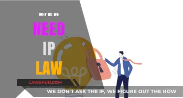 Protecting Innovation: The Crucial Role of Intellectual Property Law
