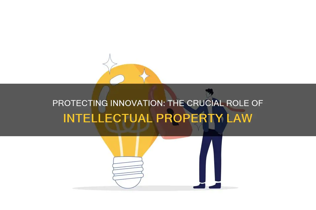 why do we need ip law