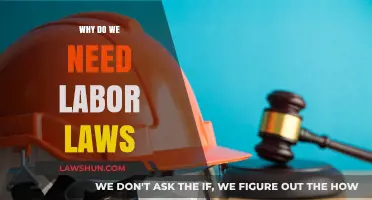 Protecting Workers: The Essential Role of Labor Laws in Society