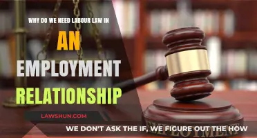 Why Labour Laws Are Essential for Fair Employment Relationships