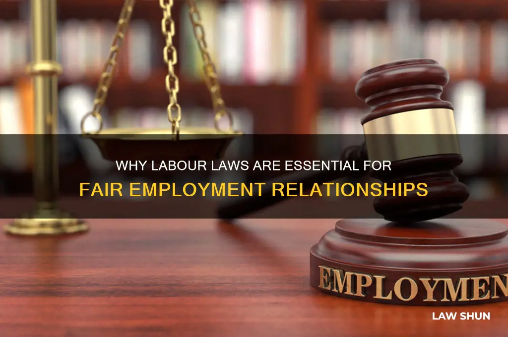 why do we need labour law in an employment relationship