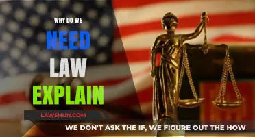 Understanding the Importance of Law in Society: Why Do We Need It?