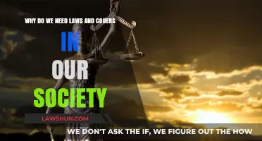 Why Laws and Courts Are Essential for a Just Society