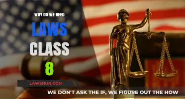 Understanding the Importance of Laws in Society for Class 8 Students
