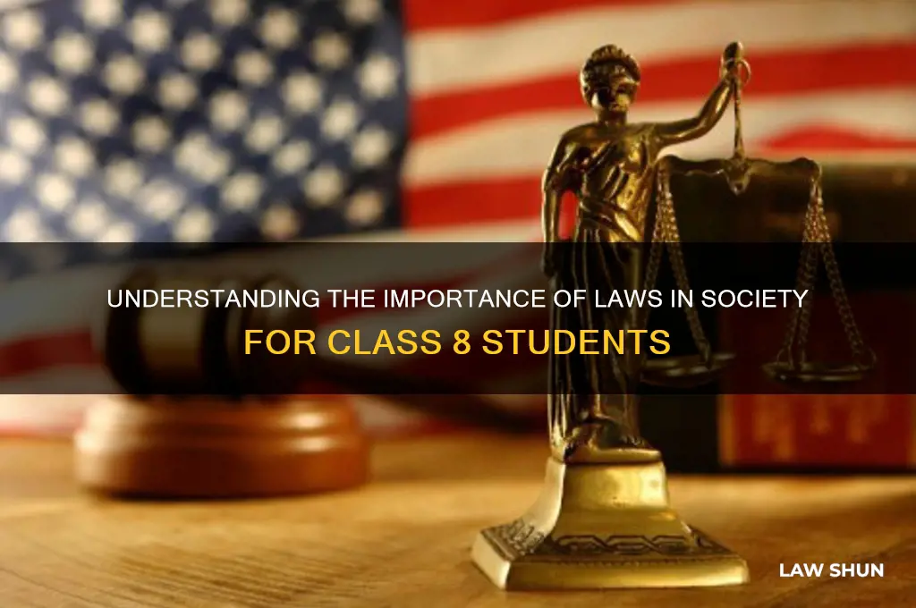 why do we need laws class 8