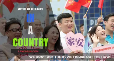 Why Laws Matter: Building Order, Justice, and Stability in Nations