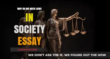The Essential Role of Laws in Shaping a Just Society