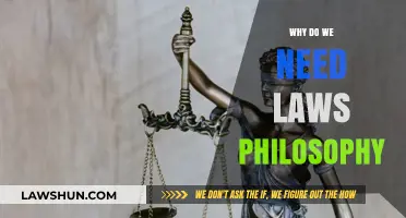 The Philosophical Necessity of Laws: Foundations, Purpose, and Societal Order