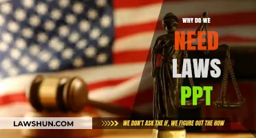 Understanding the Importance of Laws: A Comprehensive Guide for Society
