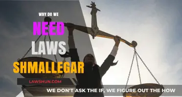 Why Laws Matter: Understanding the Necessity of Legal Frameworks
