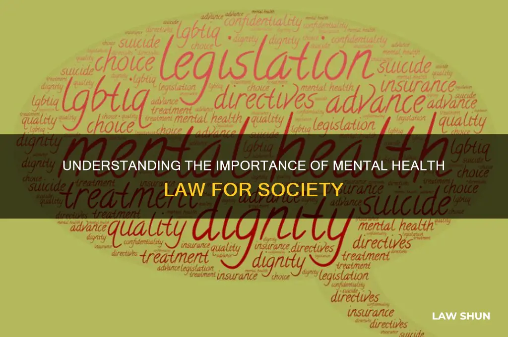 why do we need mental health law