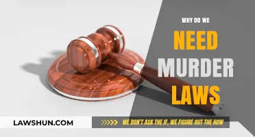 Why Murder Laws Are Essential for Society's Safety and Justice