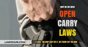 Open Carry Laws: Empowering Citizens or Endangering Communities?