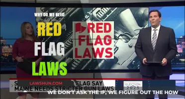 Red Flag Laws: Preventing Tragedies and Saving Lives Through Intervention