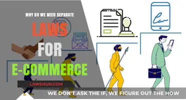 E-Commerce Evolution: Why Specialized Laws Are Essential for Digital Trade