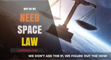 Navigating the Cosmos: The Essential Role of Space Law Today