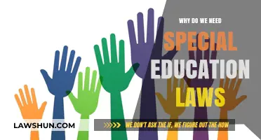 Empowering Equality: The Critical Need for Special Education Laws
