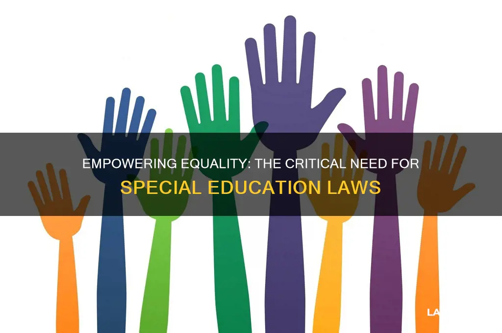 why do we need special education laws