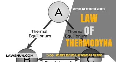 Understanding Thermal Equilibrium: The Crucial Role of the Zeroth Law
