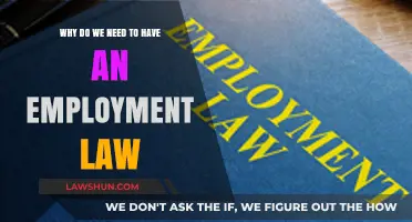 The Essential Role of Employment Law in Protecting Workers and Businesses