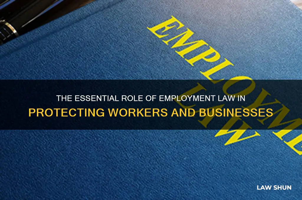 why do we need to have an employment law