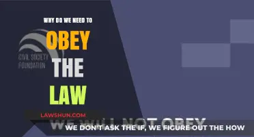 Why Obeying the Law is Essential for a Stable Society