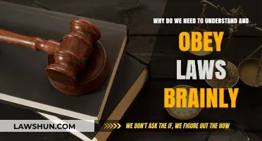 Understanding and Obeying Laws: Why It's Essential for Society