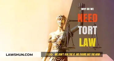 Why Tort Law Matters: Protecting Rights and Ensuring Justice