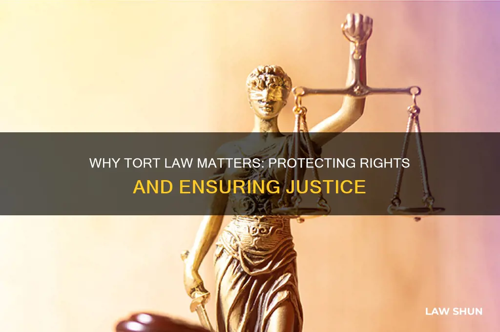 why do we need tort law
