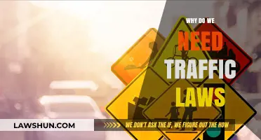 Why Traffic Laws Are Essential for Safer Roads and Communities