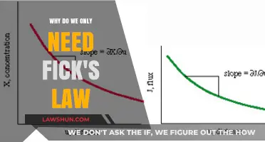 Understanding Fick's Law: The Essential Principle for Diffusion Dynamics